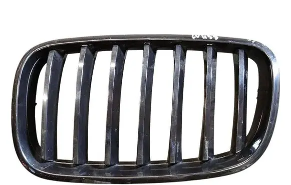 BMW X5 E70 Front bumper upper radiator grill 7157687 51317157687
