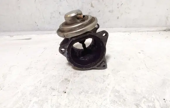 Skoda Octavia Mk2 (1Z) EGR valve 038131501AN 225717014 038120637D