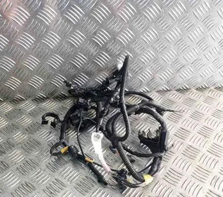 Other wiring loom