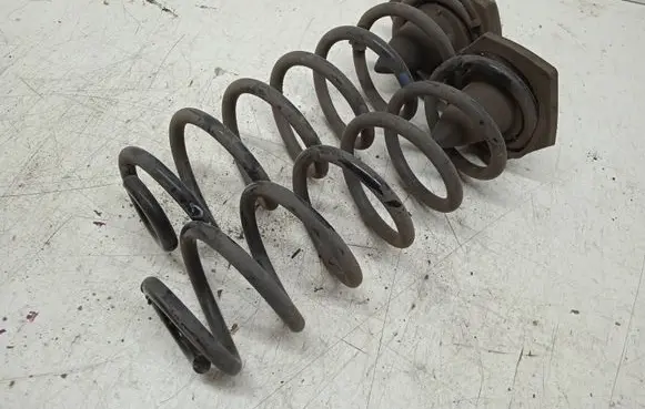 Rear coil spring