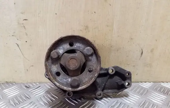 Renault Kangoo I Water pump 8200419029
