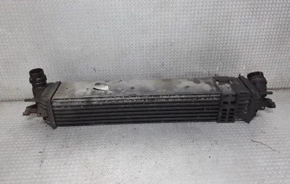 Renault Laguna III Intercooler radiator M4925003