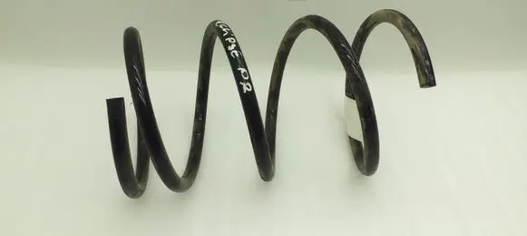 Front coil spring