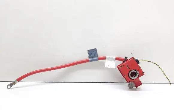 BMW X1 E84 Positive cable (battery) 9217018