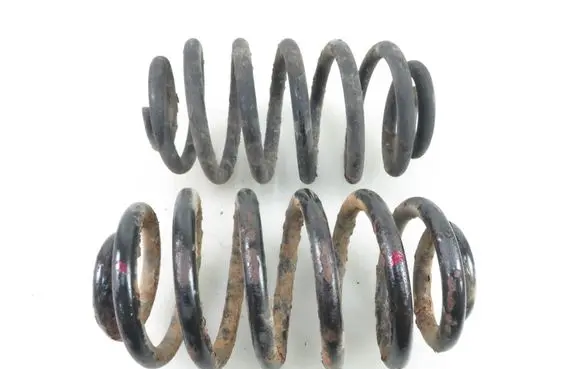 Rear coil spring