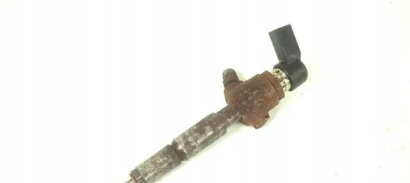 Ford Transit - Tourneo Connect Fuel injector 7T1Q-9F593-AB