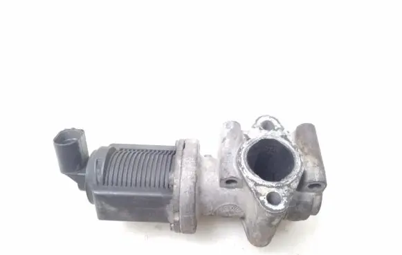 EGR valve