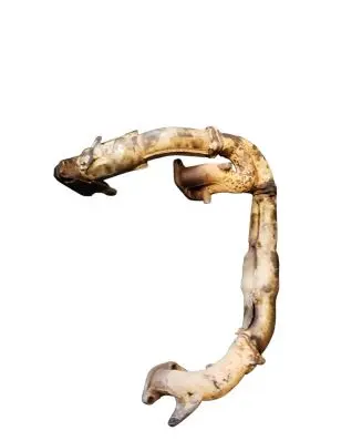 Subaru Forester SF Exhaust manifold