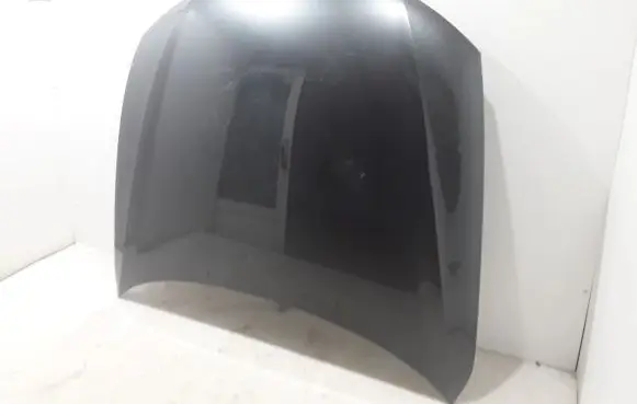 Engine bonnet/hood
