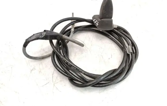 Citroen Berlingo Radio antenna 