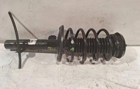 Citroen C3 Rear shock absorber with coil spring 
