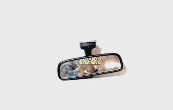 Cadillac BLS Rear view mirror (interior) 12777852 E11015805