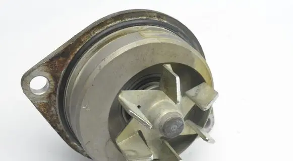 Peugeot 206 Water pump 506595