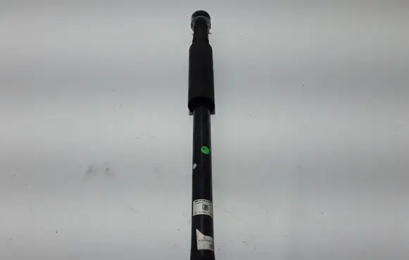 Dacia Spring Rear shock absorber/damper 562103041R