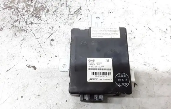 KIA Sorento Other control units/modules 954003E200