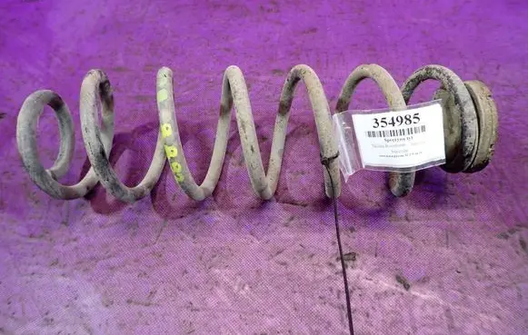 Rear coil spring