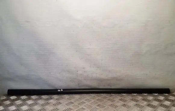 Hyundai Terracan Rear door glass trim molding