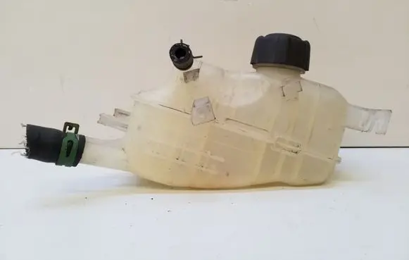 Renault Scenic III - Grand scenic III Coolant expansion tank/reservoir 217100005R