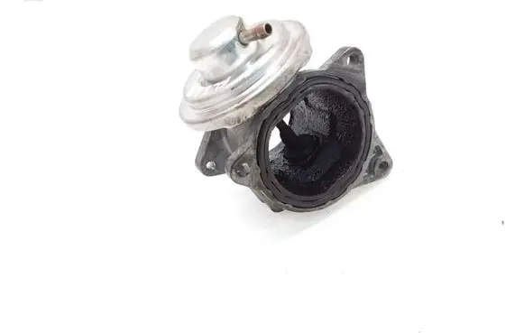 Volkswagen Jetta V EGR valve 038131501AN