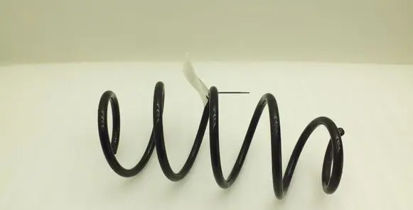 Front coil spring