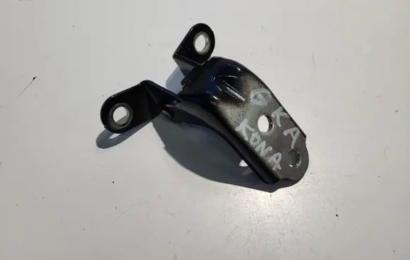 Hyundai Kona I Rear door lower hinge