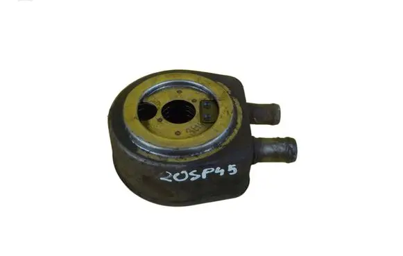 Suzuki Grand Vitara II Engine oil radiator F9Q
