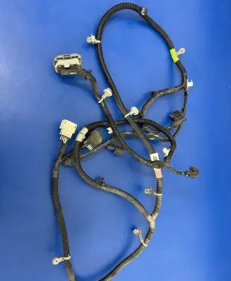Tesla Model S Other wiring loom 248640900C