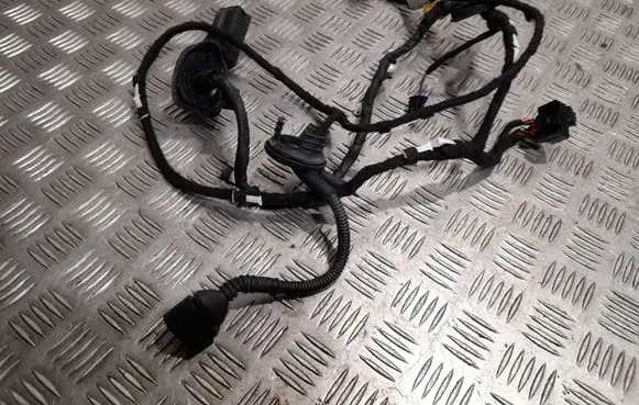 Audi Q5 SQ5 Front door wiring loom 8R0971029M