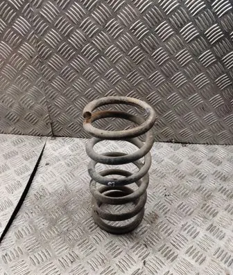 Rear coil spring