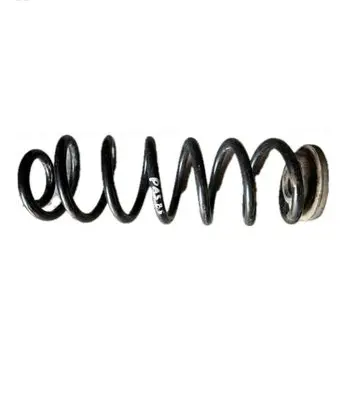 Volkswagen PASSAT B6 Rear coil spring