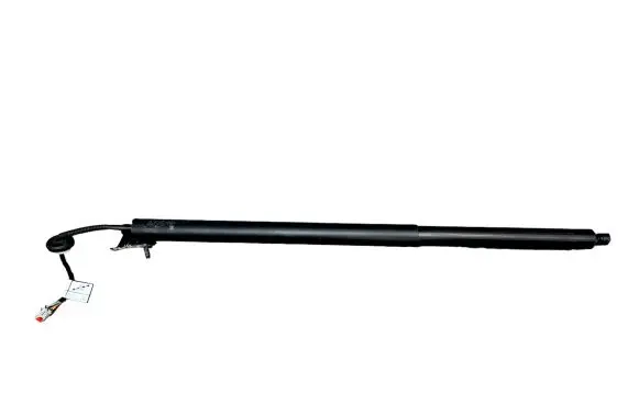 Tailgate strut
