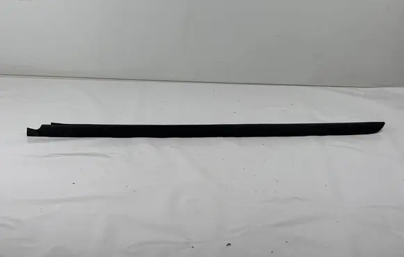 Chrysler Sebring (JS) Front door trim (molding) 05303675