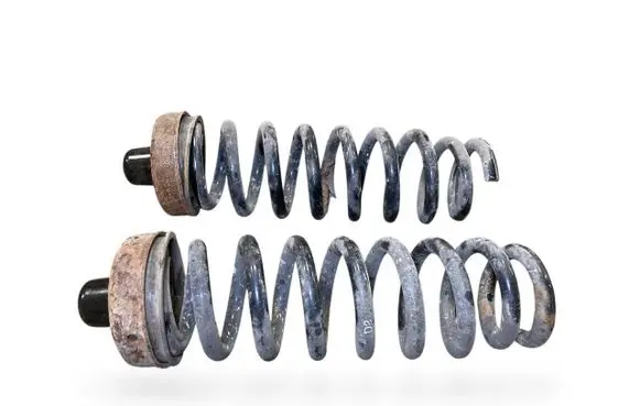 Rear coil spring