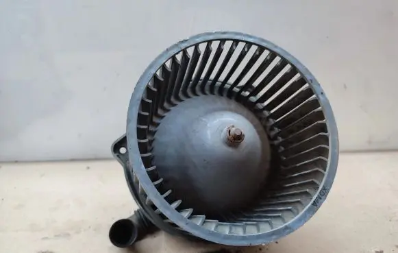 Hyundai Terracan Heater fan/blower F00S330020