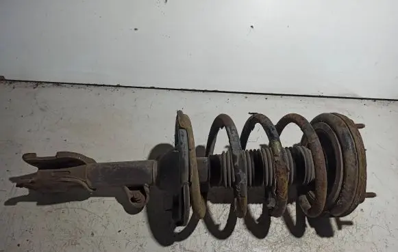 Hyundai Santa Fe Front shock absorber with coil spring