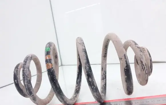 Volkswagen PASSAT B5 Rear coil spring