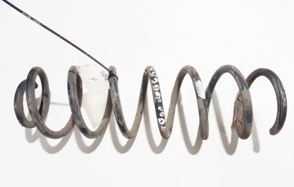 Renault Megane III Rear coil spring