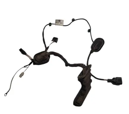 Front door wiring loom