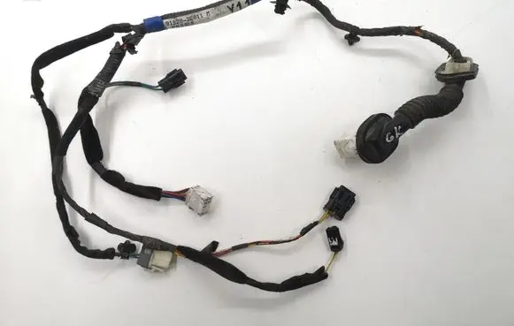 KIA Sorento Rear door wiring loom 918203E011