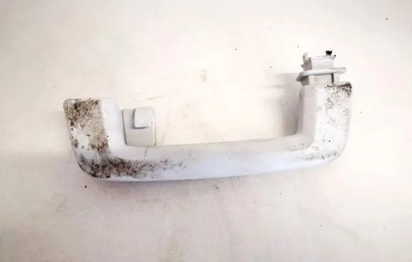 Ford Focus Rear interior roof grab handle