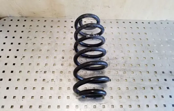 Front coil spring