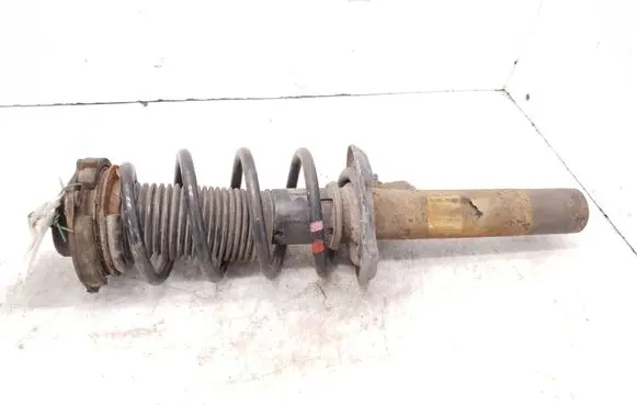 Seat Altea XL Front shock absorber with coil spring 1T0413031HE 824904004446