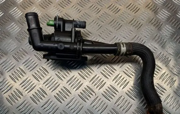 Thermostat/thermostat housing