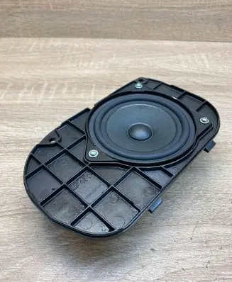 Panel speaker
