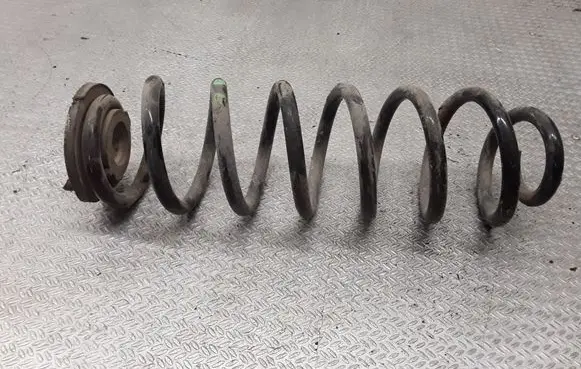 Rear coil spring