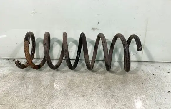 Rear coil spring