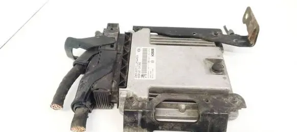 KIA Sorento Engine control unit/module 391012F020