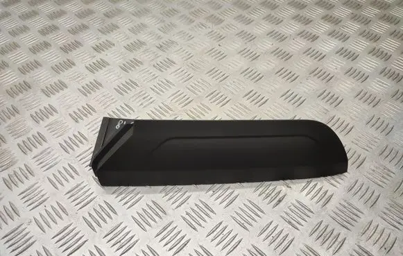 Rear/tail light trim molding