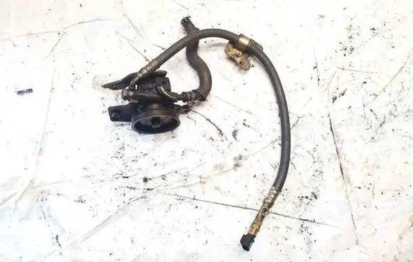 Nissan Almera N16 Power steering pump 491101n405