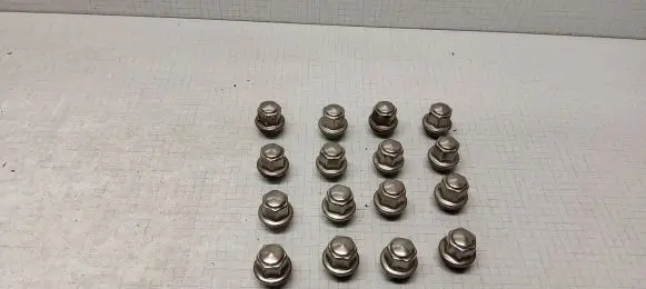 Ford Ecosport Nuts/bolts 